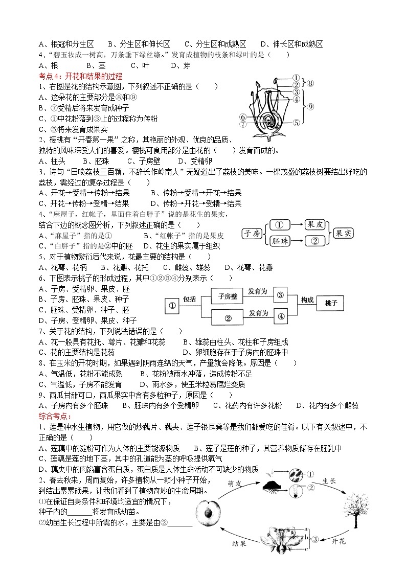 2022届初中生物中考一轮复习考点测试题5绿色开花植物的一生02