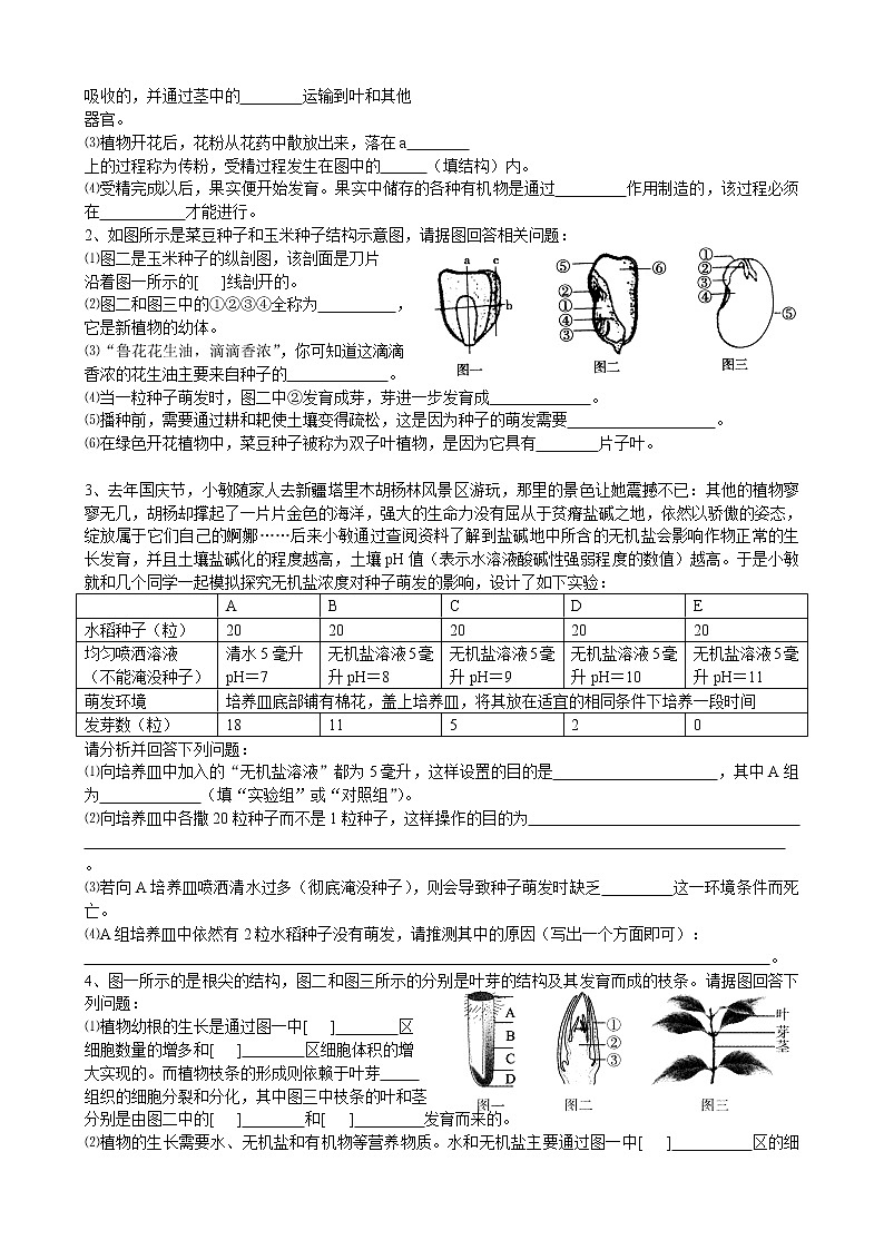 2022届初中生物中考一轮复习考点测试题5绿色开花植物的一生03