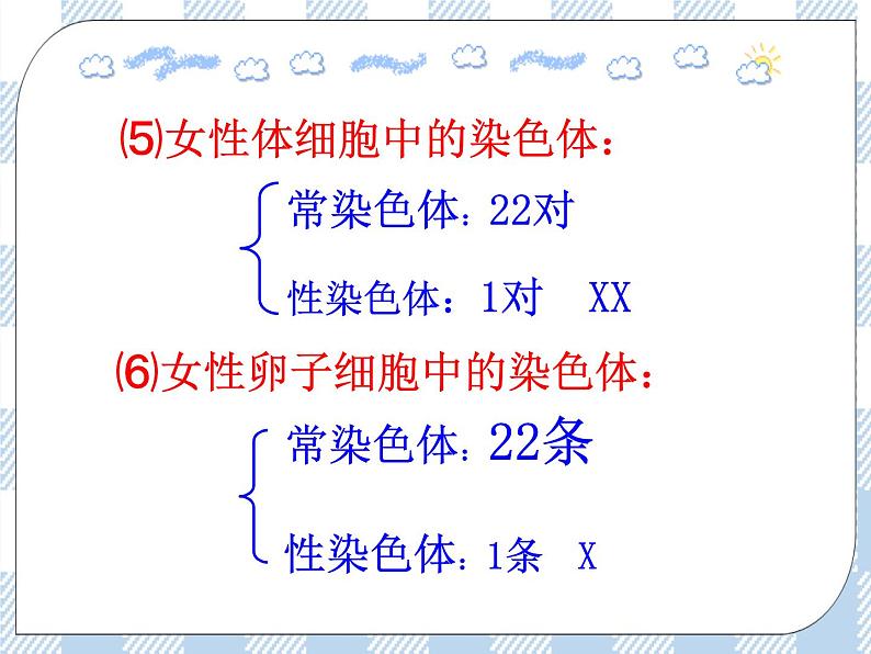 22.3人的性别决定 课件06