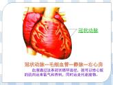 第25章第2节威胁健康的主要疾病 课件