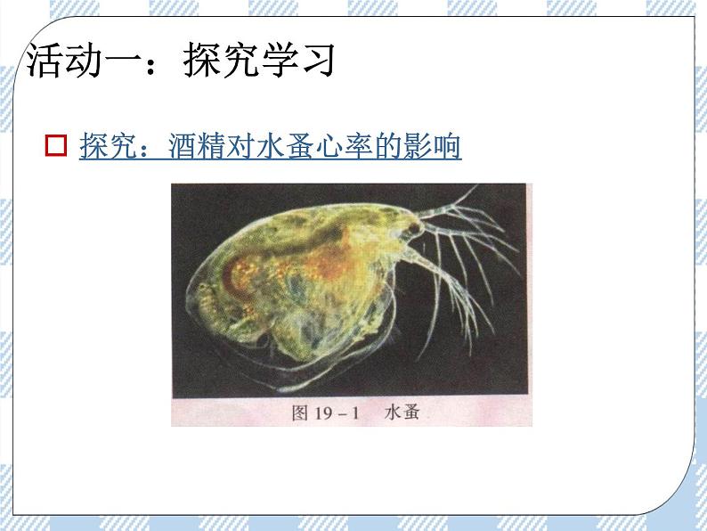 第一节 远离烟酒 课件06