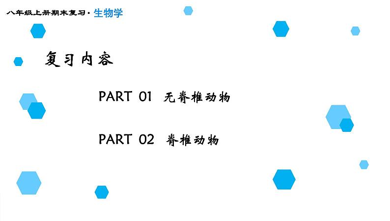 专题15  动物的主要类群课件PPT02