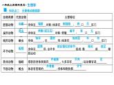 专题15  动物的主要类群课件PPT