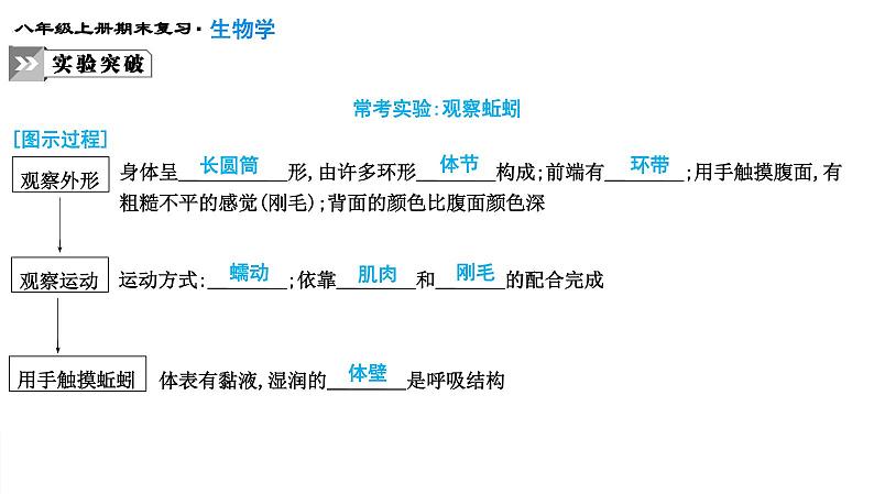 专题15  动物的主要类群课件PPT08