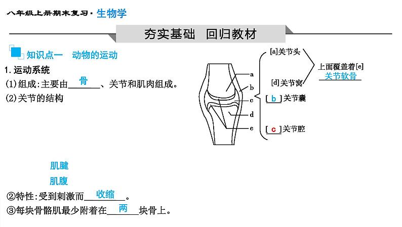 专题16  动物的运动和行为及动物在生物圈中的作用课件PPT第3页