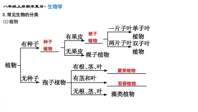 专题18  生物的多样性及其保护课件PPT第4页