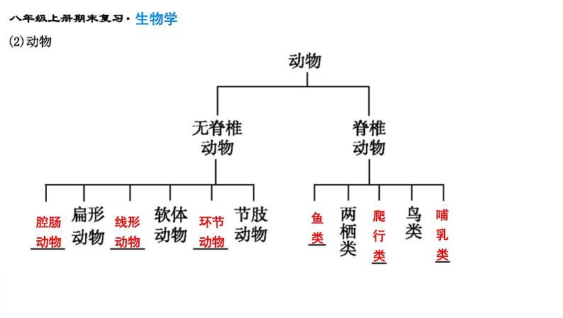 专题18  生物的多样性及其保护课件PPT第5页