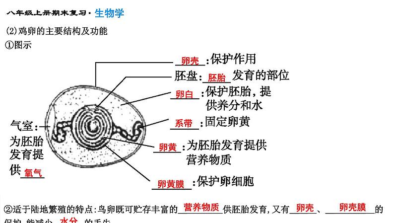 专题19  生物的生殖和发育课件PPT07