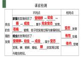7.1两栖动物的生殖和发育【高效备课】2022-2023学年八年级生物下册同步备课优质课件（人教版）