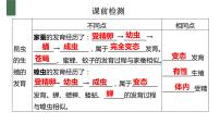 人教版 (新课标)八年级下册第三节 两栖动物的生殖和发育备课ppt课件