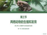7.1两栖动物的生殖和发育【高效备课】2022-2023学年八年级生物下册同步备课优质课件（人教版）