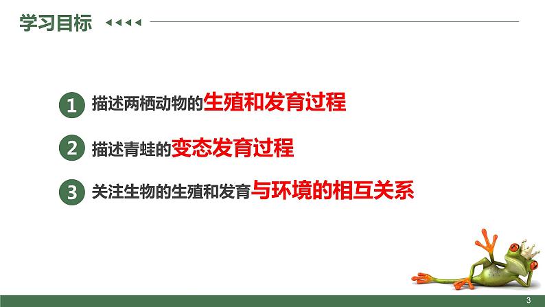 7.1两栖动物的生殖和发育【高效备课】2022-2023学年八年级生物下册同步备课优质课件（人教版）03