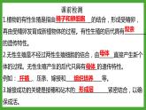 7.1昆虫的生殖和发育-【高效备课】2022-2023学年八年级生物下册同步备课优质课件（人教版）