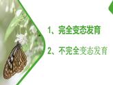 7.1昆虫的生殖和发育-【高效备课】2022-2023学年八年级生物下册同步备课优质课件（人教版）
