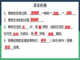 7.1鸟的生殖和发育-【高效备课】2022-2023学年八年级生物下册同步备课优质课件（人教版）