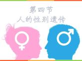 7.2人的性别遗传-【高效备课】2022-2023学年八年级生物下册同步备课优质课件（人教版）