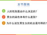 7.2人的性别遗传-【高效备课】2022-2023学年八年级生物下册同步备课优质课件（人教版）