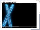 7.2基因在亲子代间的传递-【高效备课】2022-2023学年八年级生物下册同步备课优质课件（人教版）