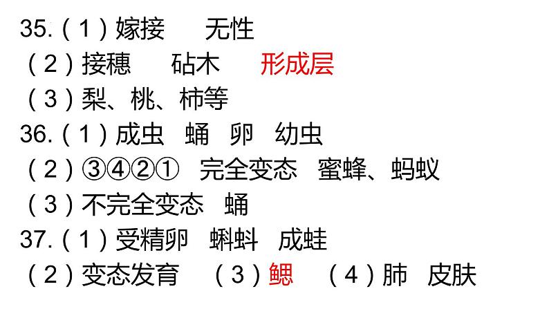 7.2基因控制生物的性状-【高效备课】2022-2023学年八年级生物下册同步备课优质课件（人教版）02