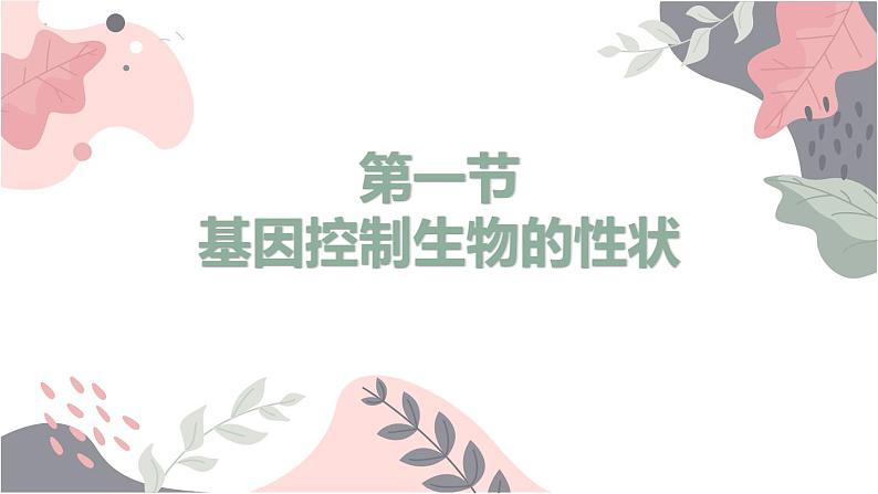 7.2基因控制生物的性状-【高效备课】2022-2023学年八年级生物下册同步备课优质课件（人教版）03