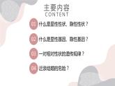 7.2基因的显性和隐性-【高效备课】2022-2023学年八年级生物下册同步备课优质课件（人教版）