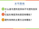 7.2生物的变异-【高效备课】2022-2023学年八年级生物下册同步备课优质课件（人教版）