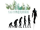 7.3生物进化的原因-【高效备课】2022-2023学年八年级生物下册同步备课优质课件（人教版）