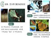 7.3生物进化的原因-【高效备课】2022-2023学年八年级生物下册同步备课优质课件（人教版）