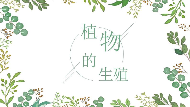 第一章第一节 植物的生殖-【高效备课】2022-2023学年八年级生物下册同步备课优质课件（人教版）01