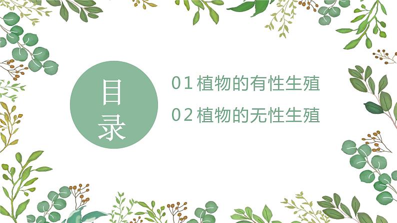 第一章第一节 植物的生殖-【高效备课】2022-2023学年八年级生物下册同步备课优质课件（人教版）02