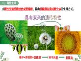 第一章第一节 植物的生殖-【高效备课】2022-2023学年八年级生物下册同步备课优质课件（人教版）