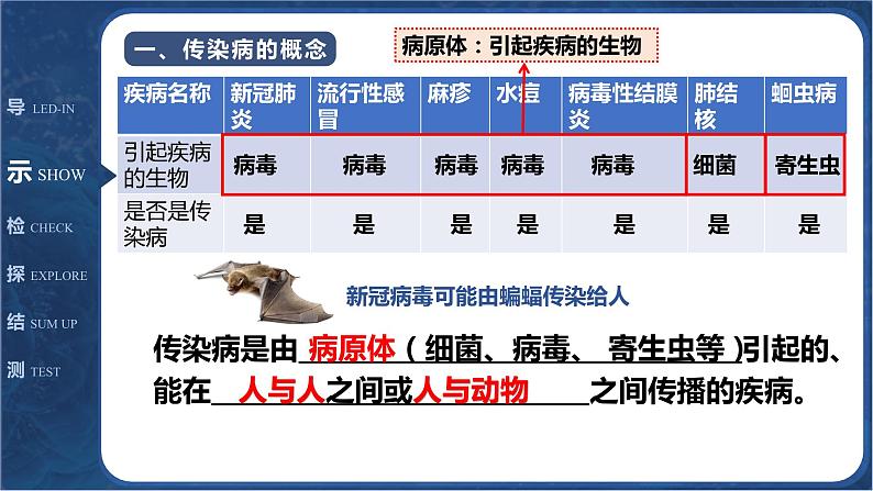 8.1传染病及其预防- 【高效备课】2022-2023学年八年级生物下册同步备课优质课件（人教版）05