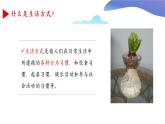 8.3选择健康的生活方式-【高效备课】2022-2023学年八年级生物下册同步备课优质课件（人教版）