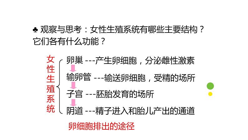 人教版生物七年级下册《人的生殖》课件08