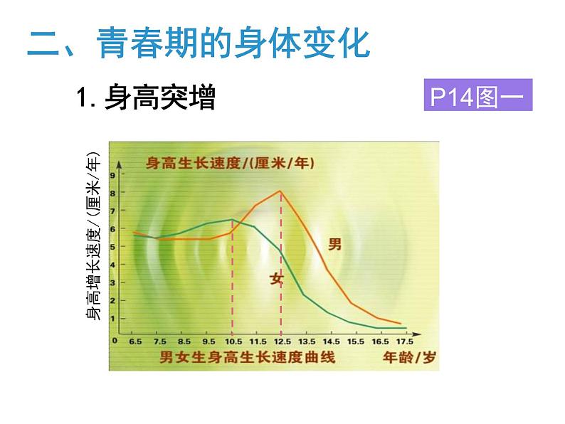 人教版生物七年级下册《青春期》课件04