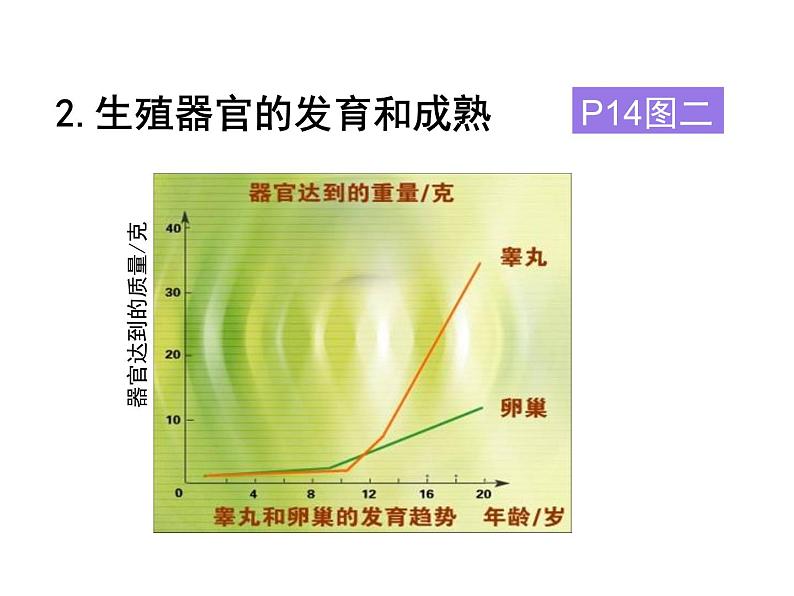 人教版生物七年级下册《青春期》课件05