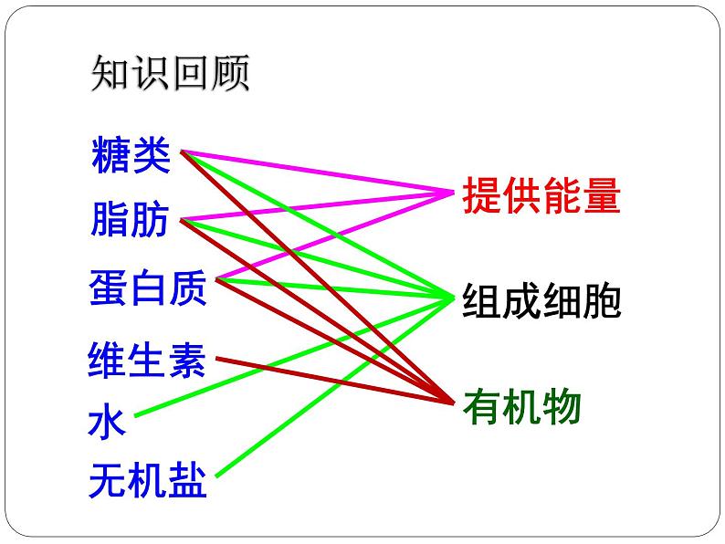 人教版生物第二章第二节《消化和吸收》课件01