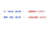 人教版生物第二章第二节《消化和吸收》课件