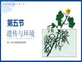 第20章第5节遗传与环境课件2022--2023学年北师大版生物八年级上册