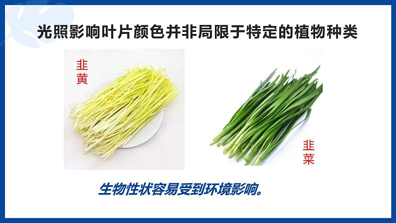 第20章第5节遗传与环境课件2022--2023学年北师大版生物八年级上册08