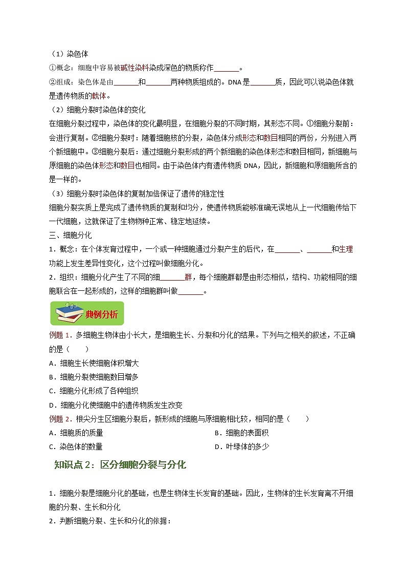 专题06 细胞怎样构成生物体（原卷版）-2021-2022学年七年级上学期期末复习之重难点突破（人教版）02