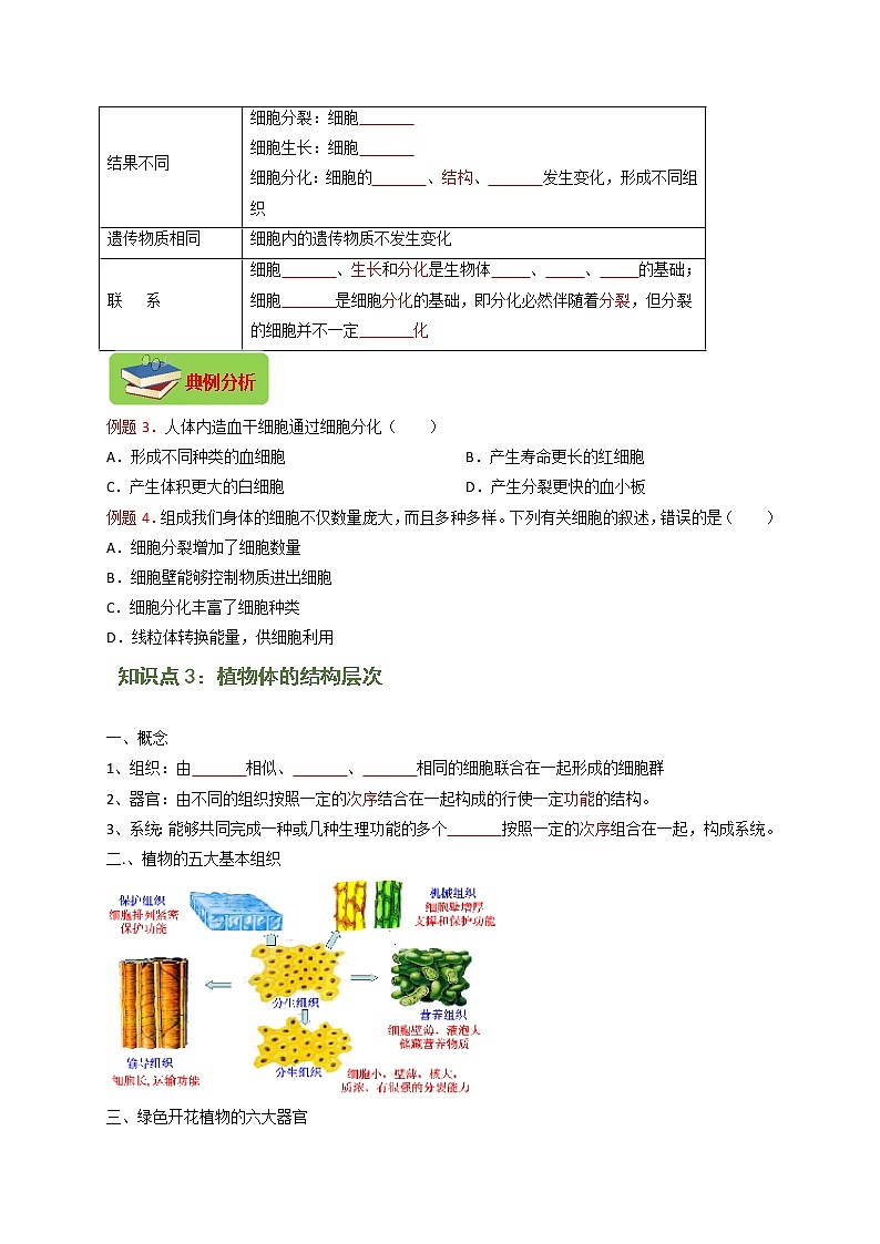 专题06 细胞怎样构成生物体（原卷版）-2021-2022学年七年级上学期期末复习之重难点突破（人教版）03