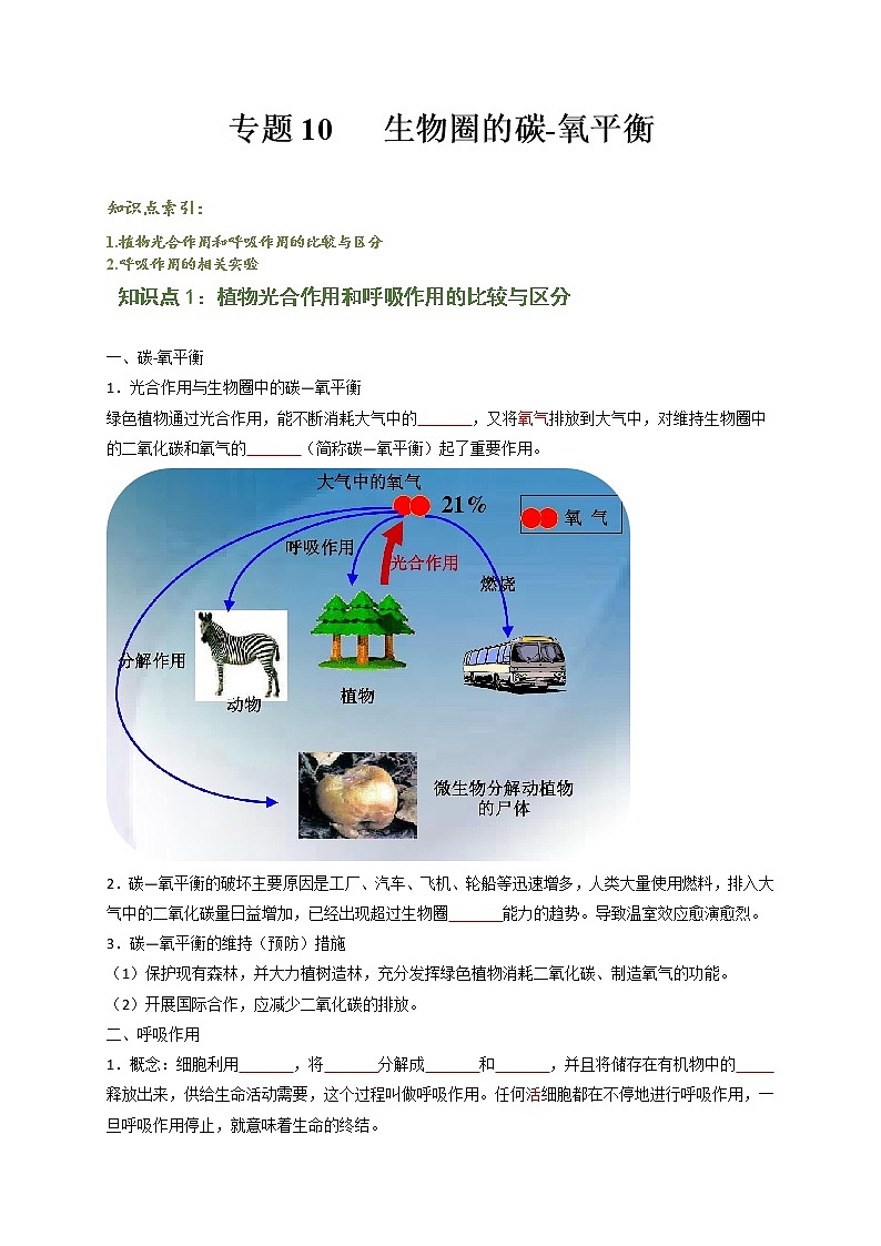 专题10 生物圈的碳-氧平衡（原卷版）-2021-2022学年七年级上学期期末复习之重难点突破（人教版）01