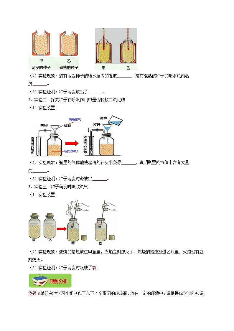 专题10 生物圈的碳-氧平衡（原卷版）-2021-2022学年七年级上学期期末复习之重难点突破（人教版）03