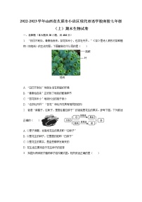 山西省太原市小店区现代双语学校南校2022-2023学年七年级上学期期末生物试卷 (含答案)