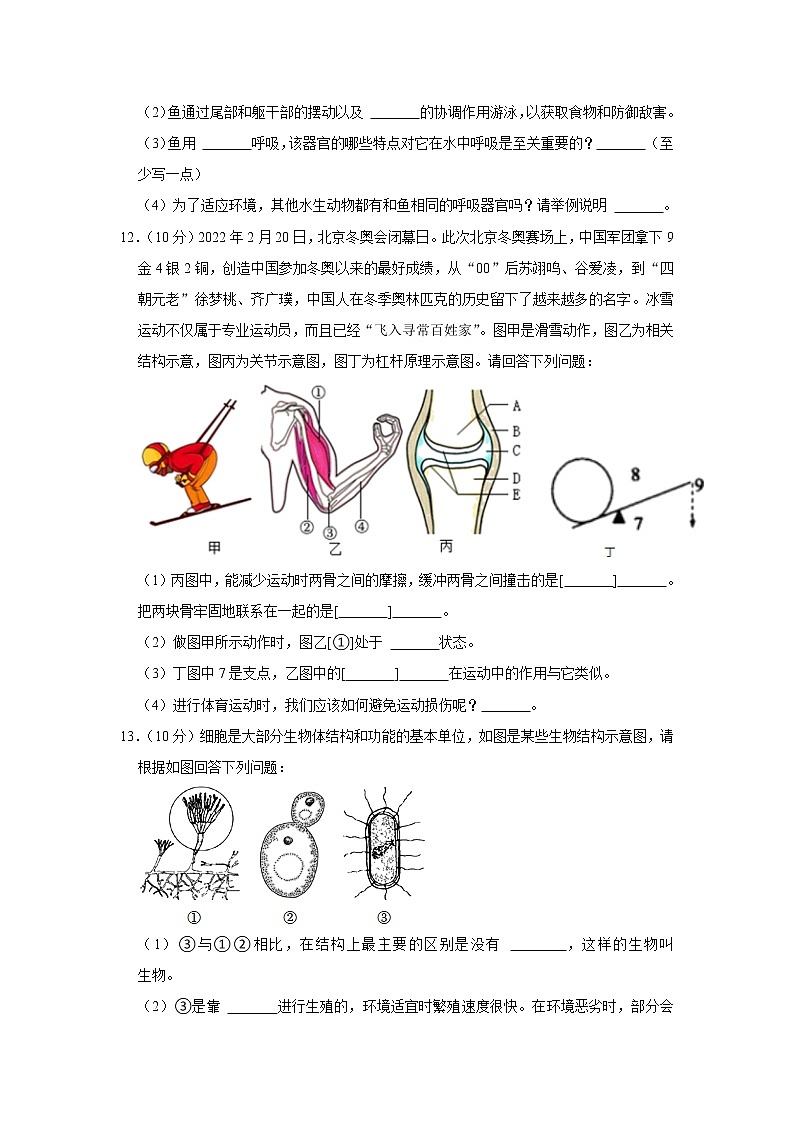 四川省南充高级中学2022-2023学年八年级上学期期末生物试卷(含答案)03