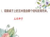 7.1.1植物的生殖课件PPT