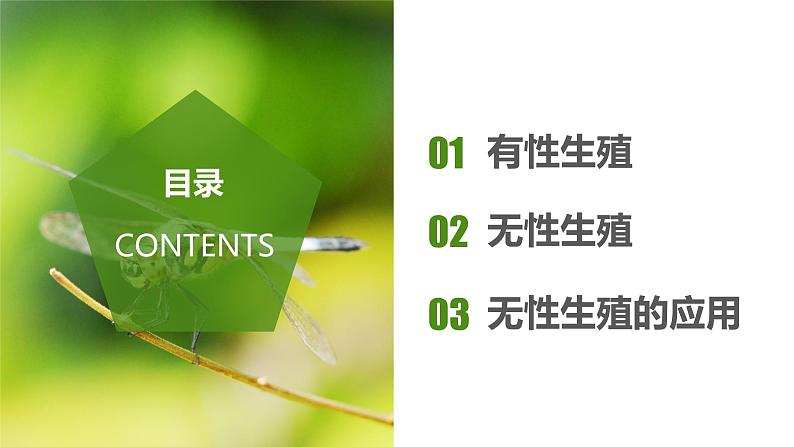 7.1.1 植物的生殖（课件带教案学案同步作业）2022-2023学年八年级下册生物同步备课系列（人教版）02