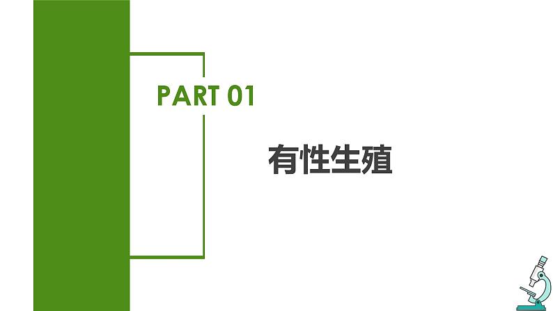 7.1.1 植物的生殖（课件带教案学案同步作业）2022-2023学年八年级下册生物同步备课系列（人教版）07