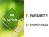 7.1.2 昆虫的生殖和发育（课件带教案学案同步作业）2022-2023学年八年级下册生物同步备课系列（人教版）